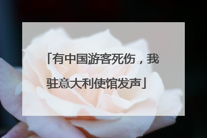 有中国游客死伤，我驻意大利使馆发声