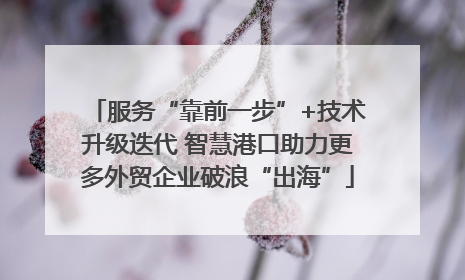 服务“靠前一步”+技术升级迭代 智慧港口助力更多外贸企业破浪“出海”