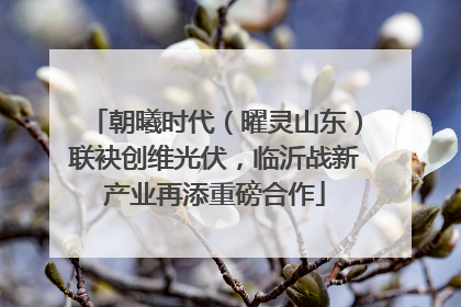 朝曦时代（曜灵山东）联袂创维光伏，临沂战新产业再添重磅合作