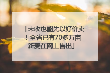未收也能先以好价卖！全省已有70多万亩新麦在网上售出