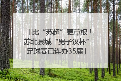 比“苏超”更草根！苏北县城“男子汉杯”足球赛已连办35届