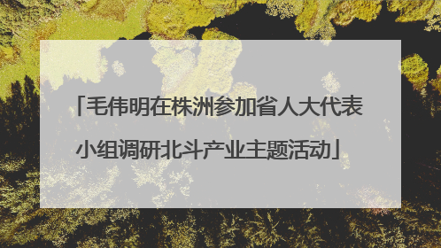 毛伟明在株洲参加省人大代表小组调研北斗产业主题活动