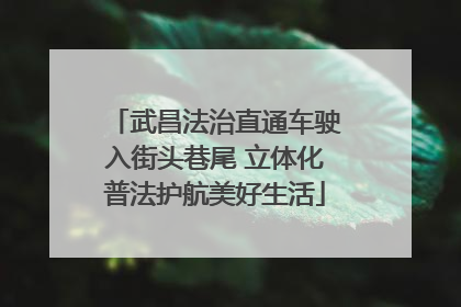 武昌法治直通车驶入街头巷尾 立体化普法护航美好生活