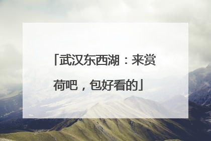 武汉东西湖：来赏荷吧，包好看的
