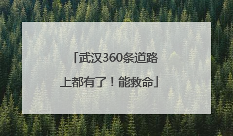 武汉360条道路上都有了！能救命