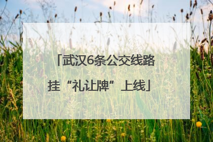 武汉6条公交线路挂“礼让牌”上线
