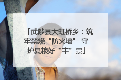 武陟县大虹桥乡：筑牢禁烧“防火墙” 守护夏粮好“丰”景