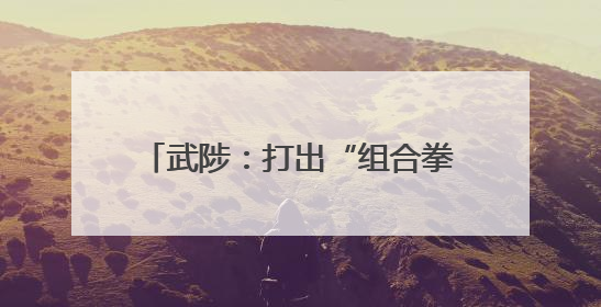 武陟：打出“组合拳” 冲刺“双过半”