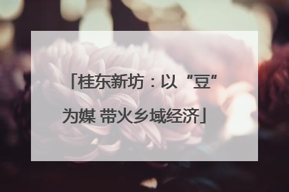 桂东新坊：以“豆”为媒 带火乡域经济