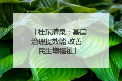 桂东清泉：基层治理提效能 改善民生增福祉