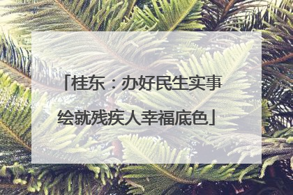桂东：办好民生实事 绘就残疾人幸福底色