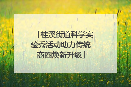 桂溪街道科学实验秀活动助力传统商圈焕新升级