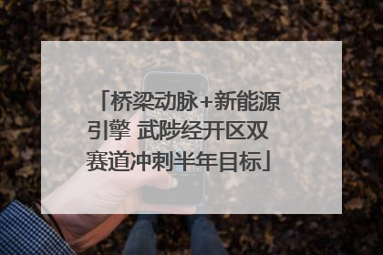 桥梁动脉+新能源引擎 武陟经开区双赛道冲刺半年目标
