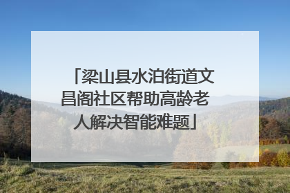 梁山县水泊街道文昌阁社区帮助高龄老人解决智能难题