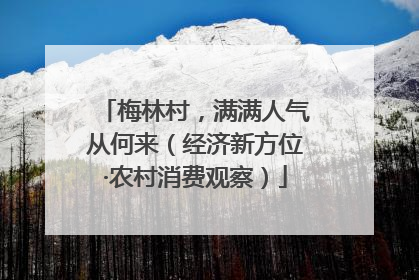 梅林村，满满人气从何来（经济新方位·农村消费观察）