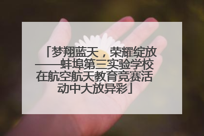 梦翔蓝天，荣耀绽放——蚌埠第三实验学校在航空航天教育竞赛活动中大放异彩