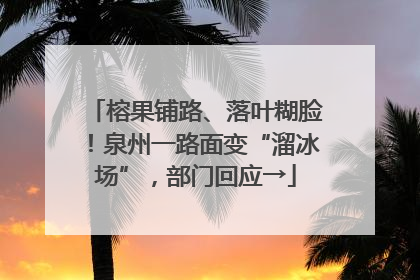 榕果铺路、落叶糊脸！泉州一路面变“溜冰场”，部门回应→