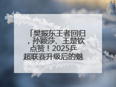 樊振东王者回归，孙颖莎、王楚钦点赞！2025乒超联赛升级后的魅力何在？