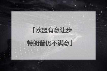 欧盟有意让步 特朗普仍不满意