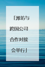 潍坊与跨国公司合作对接会举行