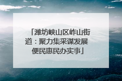 潍坊峡山区岞山街道：聚力集采谋发展 便民惠民办实事