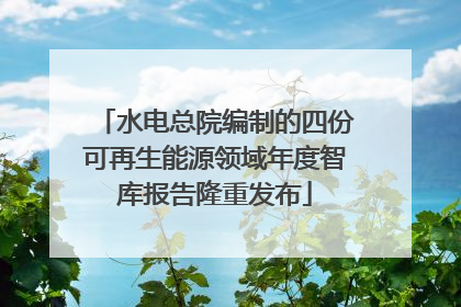 水电总院编制的四份可再生能源领域年度智库报告隆重发布