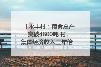 永丰村：粮食总产突破4600吨 村集体经济收入三年倍增｜牵挂的村