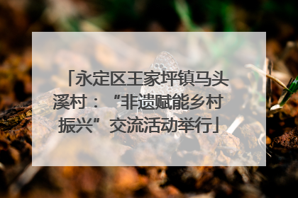 永定区王家坪镇马头溪村：“非遗赋能乡村振兴”交流活动举行