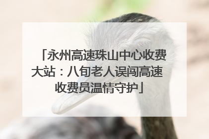 永州高速珠山中心收费大站：八旬老人误闯高速 收费员温情守护