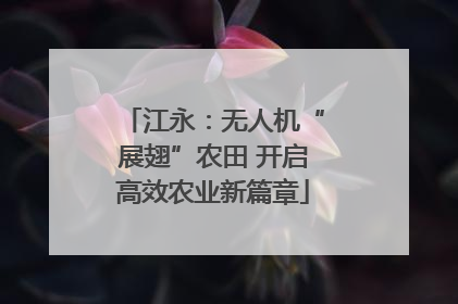 江永：无人机“展翅”农田 开启高效农业新篇章