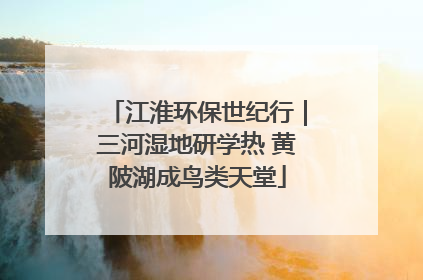 江淮环保世纪行｜三河湿地研学热 黄陂湖成鸟类天堂