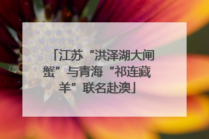 江苏“洪泽湖大闸蟹”与青海“祁连藏羊”联名赴澳