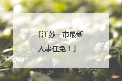 江苏一市最新人事任免！