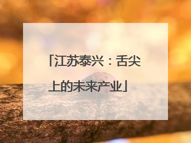 江苏泰兴：舌尖上的未来产业
