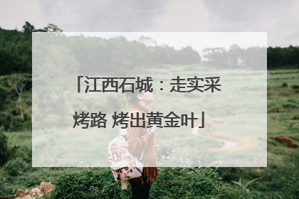 江西石城：走实采烤路 烤出黄金叶