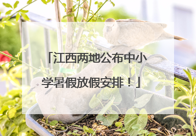 江西两地公布中小学暑假放假安排！