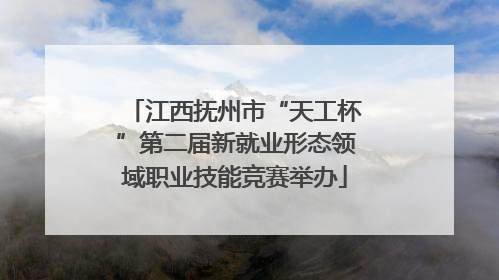 江西抚州市“天工杯”第二届新就业形态领域职业技能竞赛举办