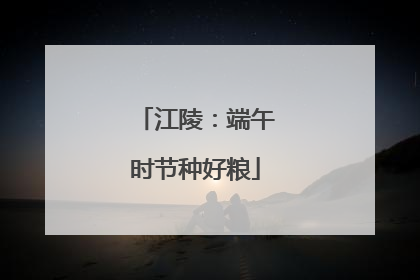 江陵：端午时节种好粮