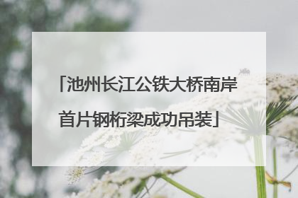 池州长江公铁大桥南岸首片钢桁梁成功吊装