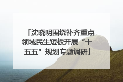 沈晓明围绕补齐重点领域民生短板开展“十五五”规划专题调研