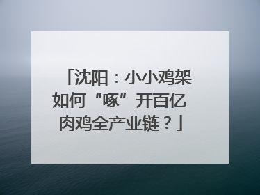 沈阳：小小鸡架如何“啄”开百亿肉鸡全产业链？