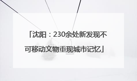 沈阳：230余处新发现不可移动文物重现城市记忆