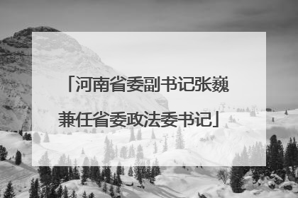河南省委副书记张巍兼任省委政法委书记