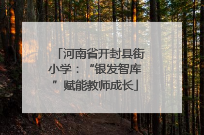 河南省开封县街小学：“银发智库”赋能教师成长