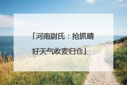 河南尉氏：抢抓晴好天气收麦归仓