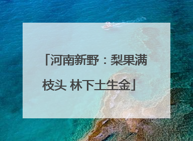 河南新野：梨果满枝头 林下土生金