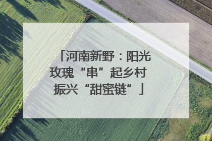 河南新野：阳光玫瑰“串”起乡村振兴“甜蜜链”