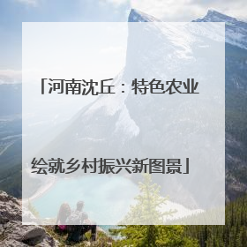 河南沈丘：特色农业绘就乡村振兴新图景