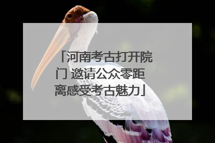 河南考古打开院门 邀请公众零距离感受考古魅力