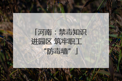 河南：禁毒知识进园区 筑牢职工“防毒墙”